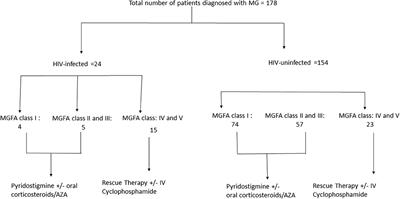 A Comparison of Clinical, Electro-Diagnostic, Laboratory, and Treatment Outcome Differences in a Cohort of HIV-Infected and HIV-Uninfected Patients With Myasthenia Gravis